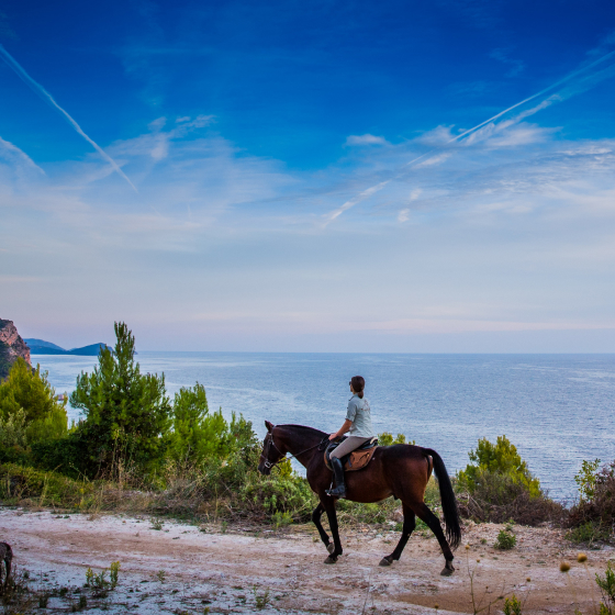 Horseback riding in Konavle