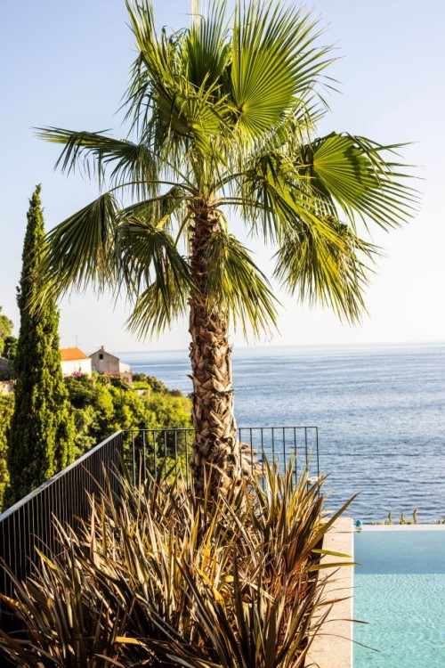 Eleven & Atreeum Residence 47