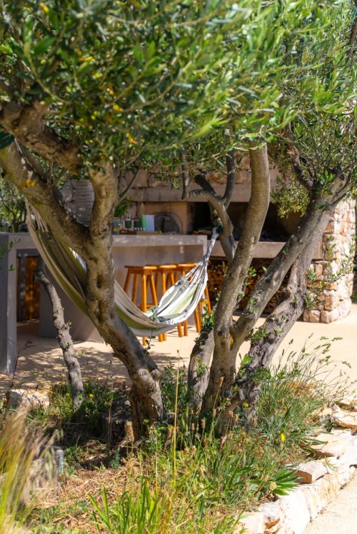 Olive House 34