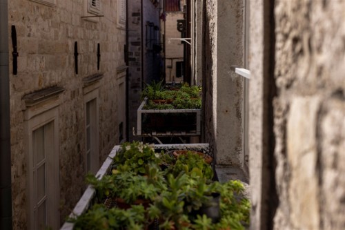 Poets House Dubrovnik 23